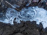 Eisfilm mit Blasen und Auswüchsen am Bachufer